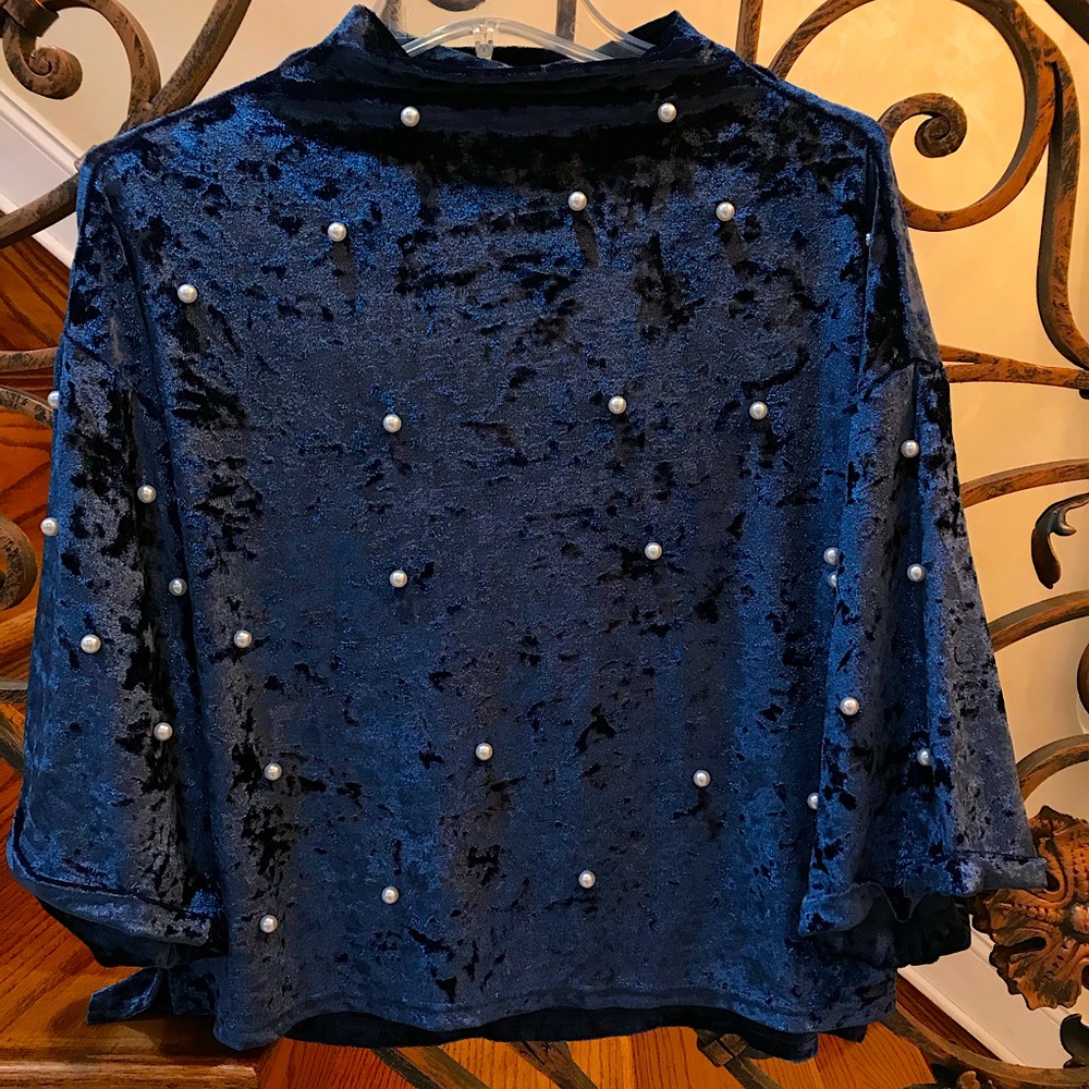 Velvet pearl blouse